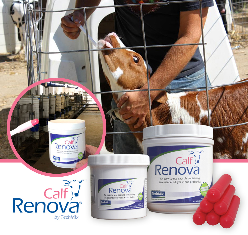 Calf Renova - Fenomeni Diarroici