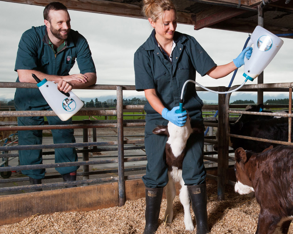 Trusti Tuber è il nuovo sistema ALL-IN-ONE per alimentare i vitelli