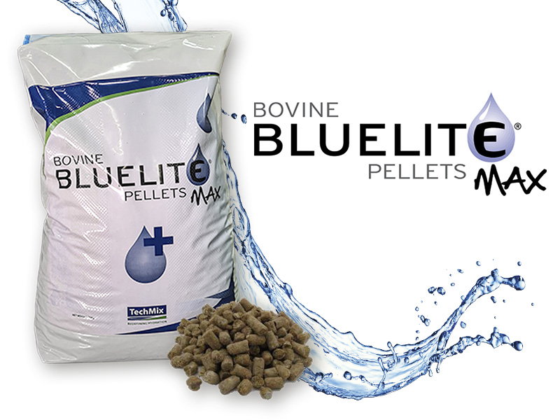 Bovine Bluelite Pellets Max - Integratore in pellet pratico da utilizzare per mantenere l’idratazione