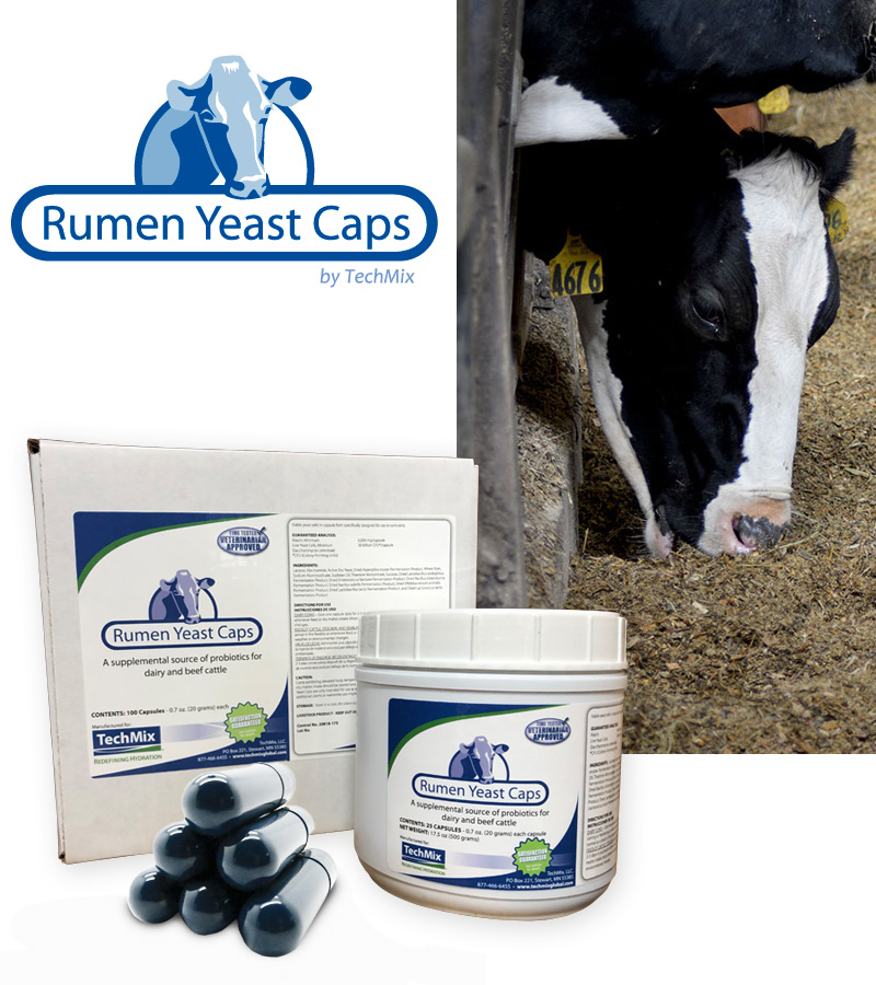 Rumen Yeast Caps - I boli con lievito vivo e probiotici per una efficace e pronta stimolazione ruminale