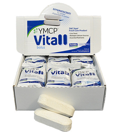 YMCP Vitall Bolus Box - bolo effervescente per le vacche fresche