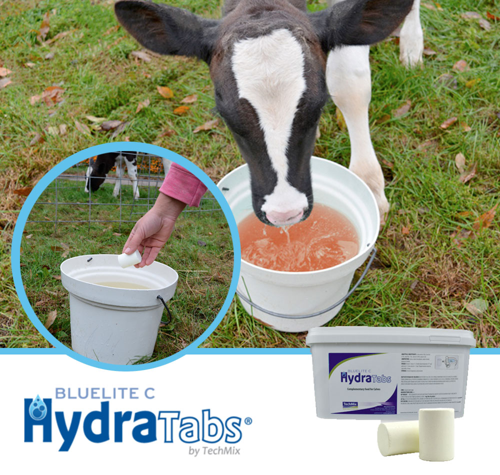 BlueLite C Hydra Tabs - protocollo TechMix per trattare la diarrea nei vitelli