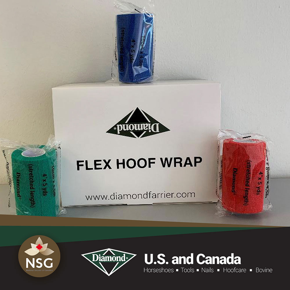 Bende Adesive FLEX HOOF WRAP Diamond per fasciature podali