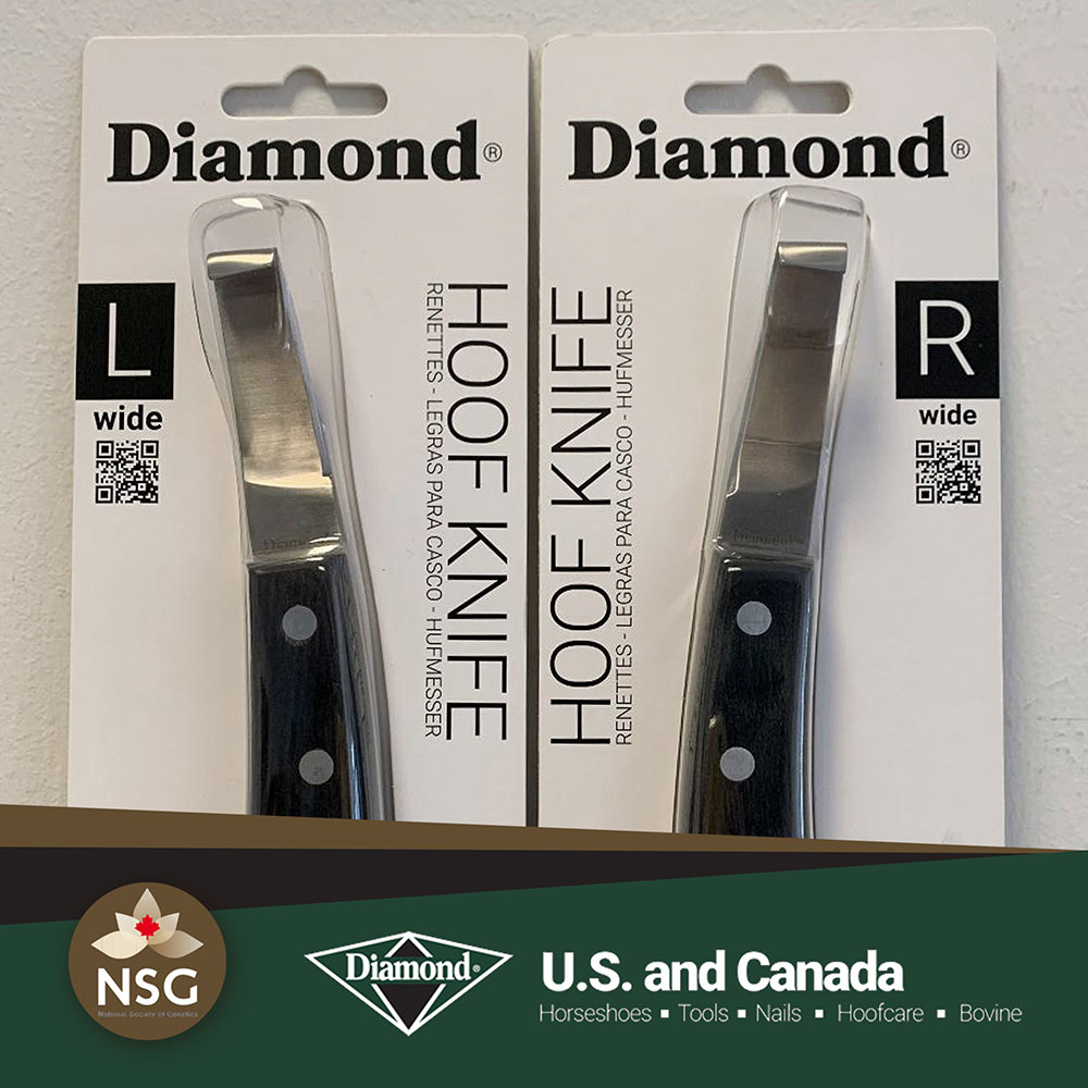 Coltelli HOOF KNIFE Diamond - Prodotti per Mascalcia Bovina