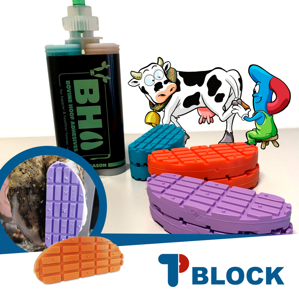 TPBlock Colla, Beccucci e Solette - Prodotti per Mascalcia Bovina