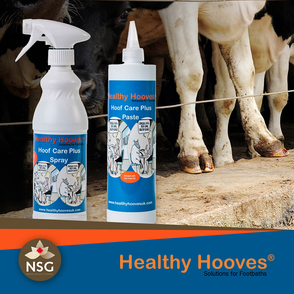 Healthy Hooves Hoof Care Plus - Prodotti per la cura dello zoccolo